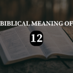 Biblical Meaning of 12