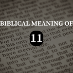 BIBLICAL MEANING OF 11