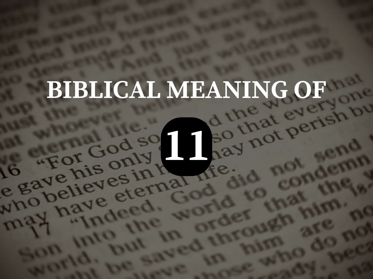 BIBLICAL MEANING OF 11