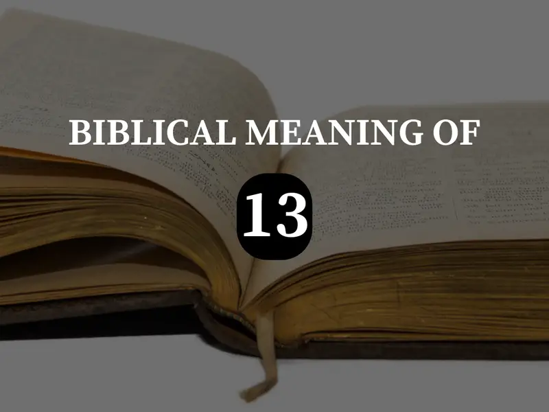 BIBLICAL MEANING OF 13