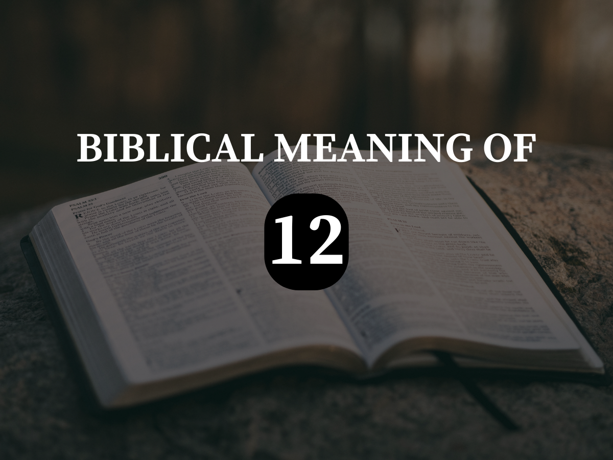 Biblical Meaning of 12