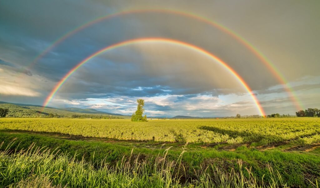 What Is the Meaning of the Rainbow in the Bible