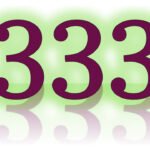 what does the number 333 mean in the bible