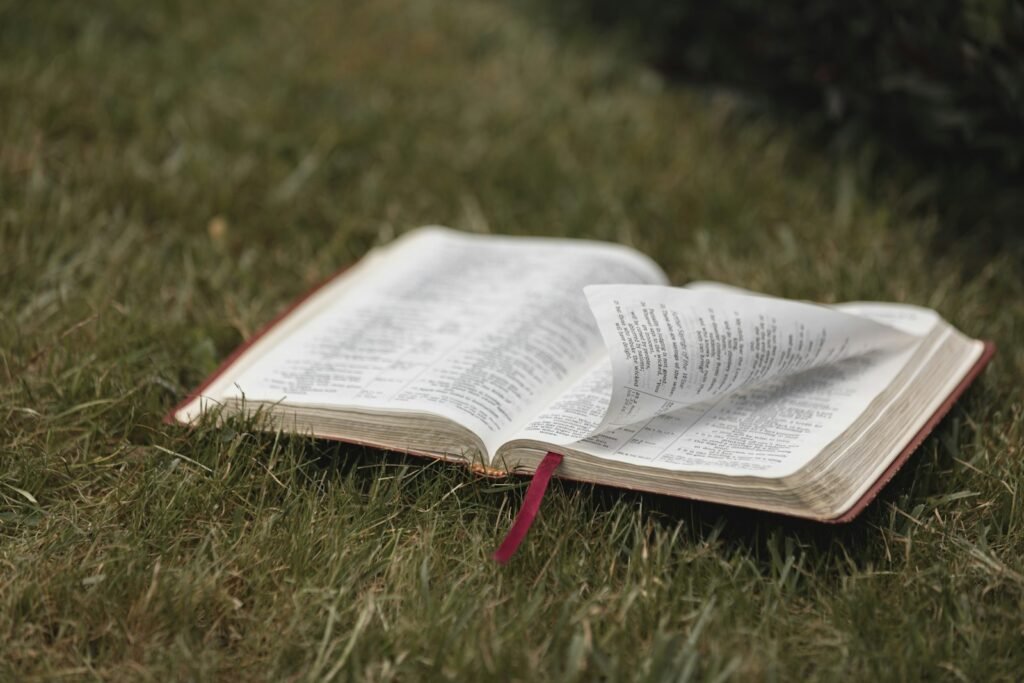 an open book sitting on top of a lush green field - who married a harlot in the bible