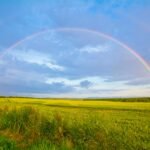 green grass field under white clouds and rainbow