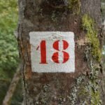 a red and white sign on a tree in a forest - what does the number 18 mean in the bible