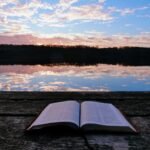 white book on brown wooden table