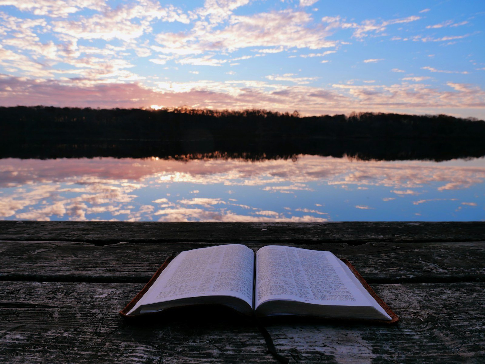 white book on brown wooden table