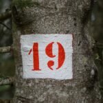 a red and white sign on a tree in the woods