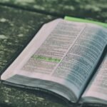 Impact of Pride In The Bible