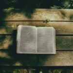 who is gehazi in the bible