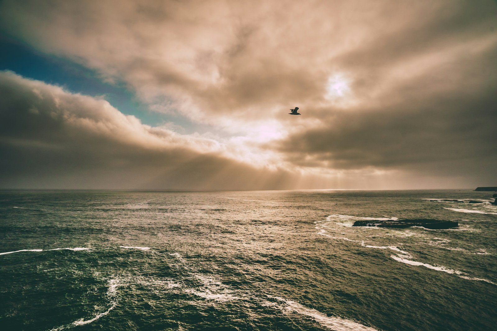 photo of bird flying above the water under gray sky - what does the bible say about the holy spirit