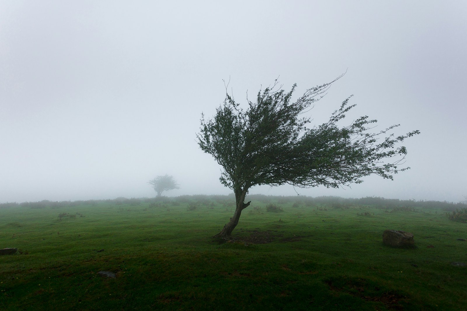 What Does Wind Symbolize In The Bible?