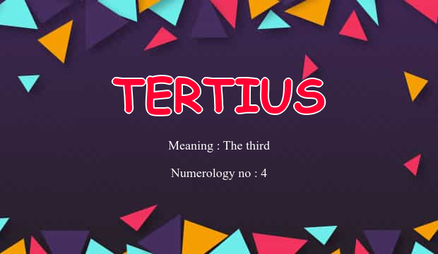 Who Is Tertius In The Bible?