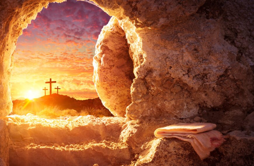 Scripture-Rooted Ministries